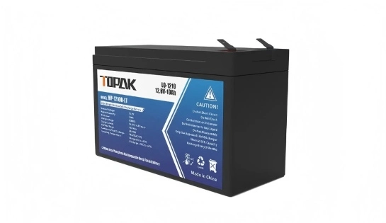 12V 10Ah LiFePO4 Battery 